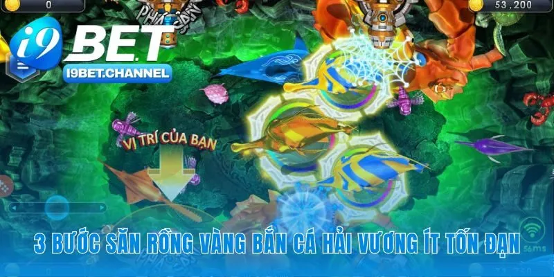 Công thức săn boss hải vương hiệu quả